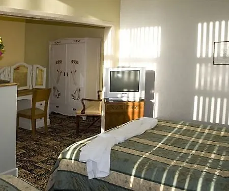 The New Beehive 3* בראדפורד
